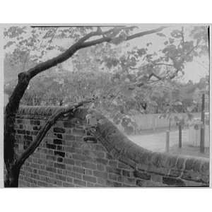  Photo Williamsburg, Virginia, Red Lion. Drop in wall 1959 