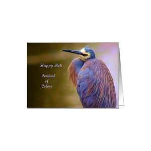 Card Holi   Festival of Colors   Colorful Bird Card 