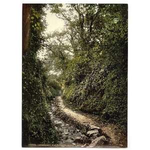  Photochrom Reprint of Guernsey, water lane, Moulin Huet 