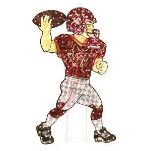   NCAA Light Up Animated Player Lawn Decoration (44) 