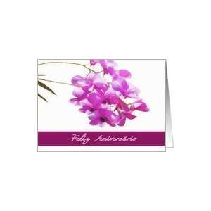 happy birthday in Portuguese,feliz aniversário, pink orchids, flower 