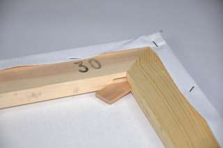Fissare i tasselli di legno affinché la tela si tiri.