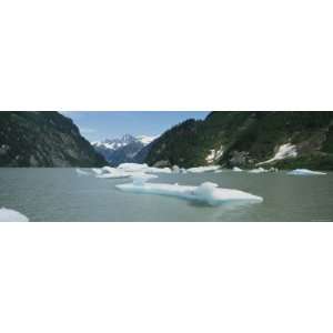 Icebergs Floating in a River, Shakes Glacier, Stikine River, Wrangell 