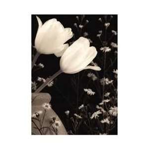     Glowing Tulip II   Artist Donna Geissler  Poster Size 15 X 11