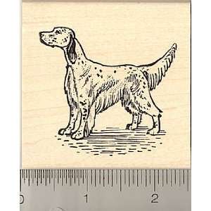English Setter Rubber Stamp   Wood Mounted