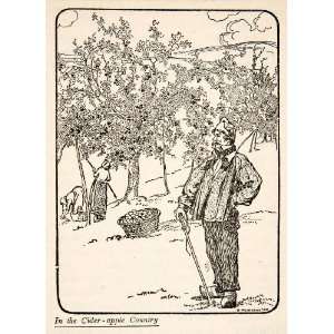  1925 Wood Engraving Cider Apple Orchard Normandy France 