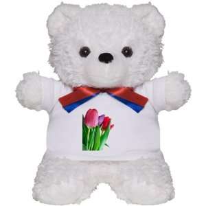  Teddy Bear White Pink and Purple Tulips 