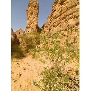 Essendilene Gorge, Near Djanet, Southern Algeria, North Africa, Africa 