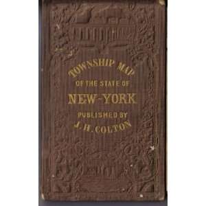 Coltons Township Map of the State of New York Books