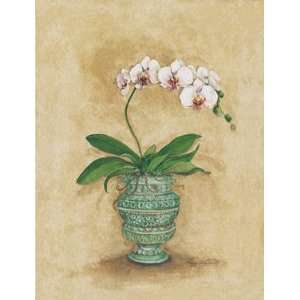  Peggy Abrams Classic Orchid II 13x17 Poster Print