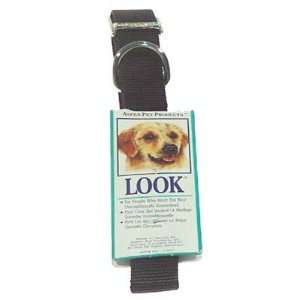 Aspen Pets Nylon Dog Collar Size 1 x 22, Color Royal 