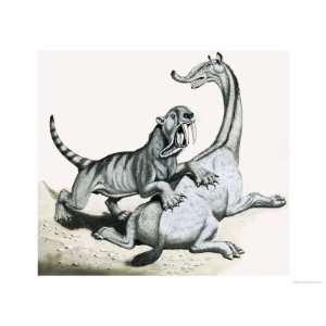 Sabre Toothed Tiger Attacking Unidentified Prehistoric Creature Art 