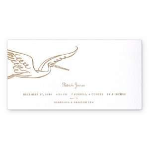  Storks Delivery Letterpress Card Birth Announcement 