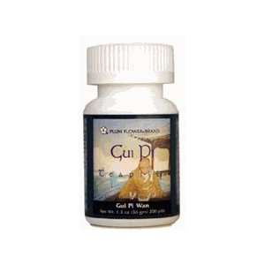  Gui Pi Teapills (Gui Pi Wan) (200 Teapills) Health 