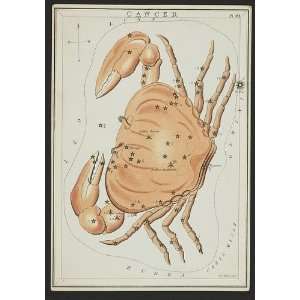  Cancer,crabs,astronomy,zodiac,constellations,astrology 