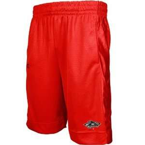  New Mexico Lobos Red Campus Yard Mesh Shorts Sports 