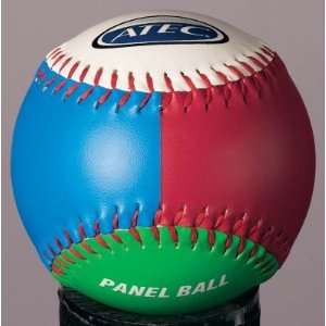  Atec 12 Panel Training Softball   Softball Training Balls 