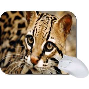 Rikki Knight Baby Tiger Cub Close up Mouse Pad Mousepad   Ideal Gift 