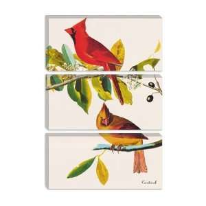  Cardinal by John James Audubon Canvas Painting 