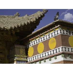  Pigeons Mate on Roof of Buddhist Monastery, Qinghai, China 