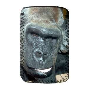  A silver back gorilla, Twycross Zoo,   Protective Phone 