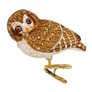 Pygmy Owl Clip On Glass Ornament