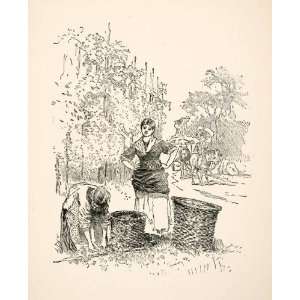  1885 Wood Engraving Joseph Pennell Art European Hop Field 