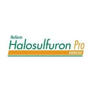 Halosulfuron Equivalent to Sedgehammer for Nutsedge control 6666056