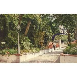 1920s Vintage Postcard Gardens of the Hotel Tramontano Sorrento Italy