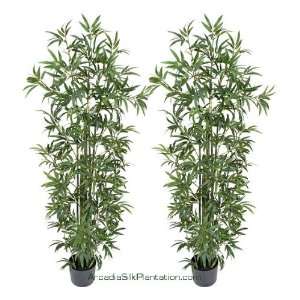  TWO Pre Potted 6 Artificial Bamboo Trees with REAL BAMBOO 