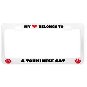  A Tonkinese Cat Pet White Metal License Plate Frame Tag 