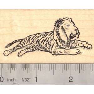  Liger Rubber Stamp Lion Tiger Hybrid Arts, Crafts 
