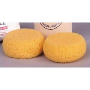  Tiny Tack Sponges   Pack of 6