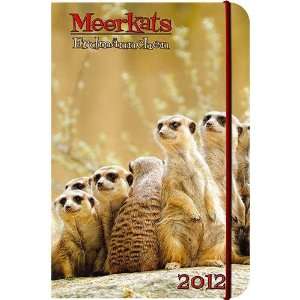  Meerkats 2012 Small Engagement Calendar