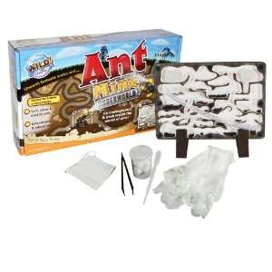  Wild Science Ant Mine Toys & Games