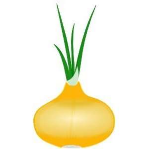  Tropeana Tonda Onion Patio, Lawn & Garden