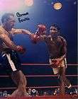 CARMEN BASILIO autograph SIGNED boxing  