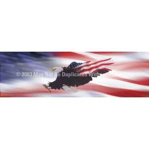 Exclusive By ClearVue Graphics Window Graphic   20x65 Wings of Freedom 
