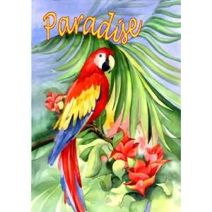  Toland Home Garden 112093 Macaw Paradise Garden Flag 