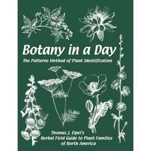  Botany In A Day. Plant Identification. Herbal Field Guide to Plant 