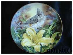 Tufted Titmouse Ruffing Royal Windsor Songbirds Plate  