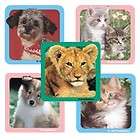 Square Stickers ★ Photo Realistic Dog Cat Kitten Pu