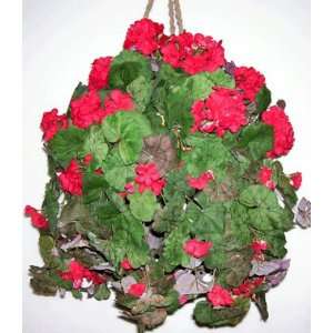 Red Geranium Hanging Basket