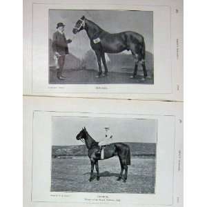  1907 Horses Eremon Thurles Jeddaii James Cleary Sport 