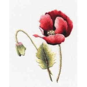  Red Poppy (needle painting)