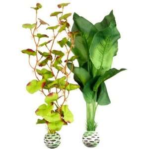  biOrb Silk Plant Pack   Green/Green   Medium (Quantity of 