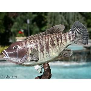  Taxidermy 14 Fiberglass Blackfish Tautog Fish Statue 