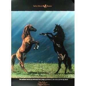  No More Night Mares (2 Horses Reared Up) Poster Print   18 