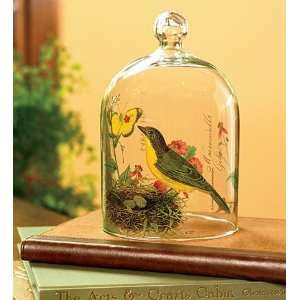 Glass Cloche with Birds Nest Motif