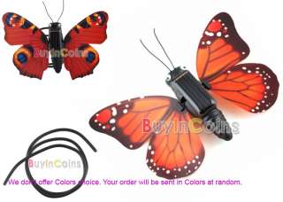 Motion Solar Energy Simulation Butterfly Education Toy  